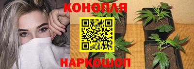 СК Жуковский