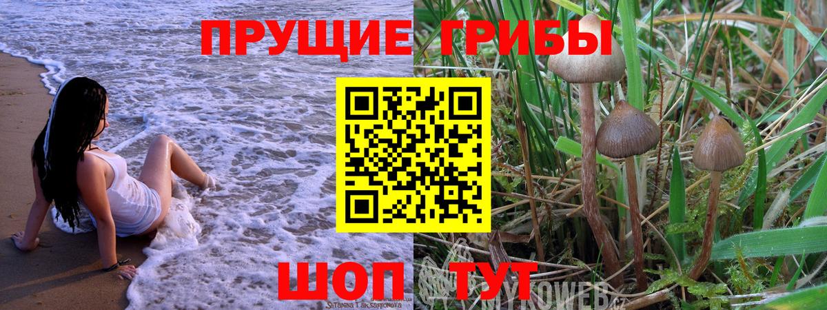 Галлюциногенные грибы мицелий  Вход с VPN  Ижевск 